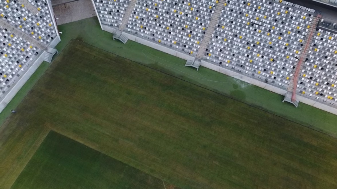 Gramado da Arena MRV (foto: Divulgação)