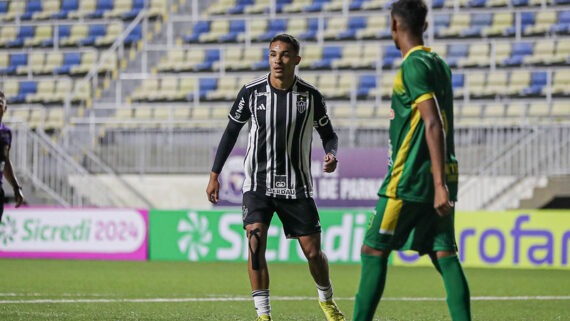 Galo (foto: Foto: Bruno Sousa / Atlético)