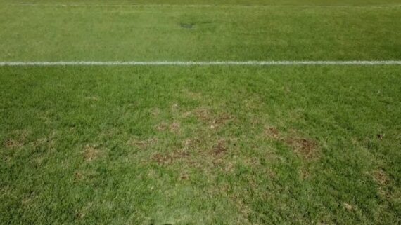 Gramado da Arena MRV apresenta muitas falhas (foto: Reprodução)
